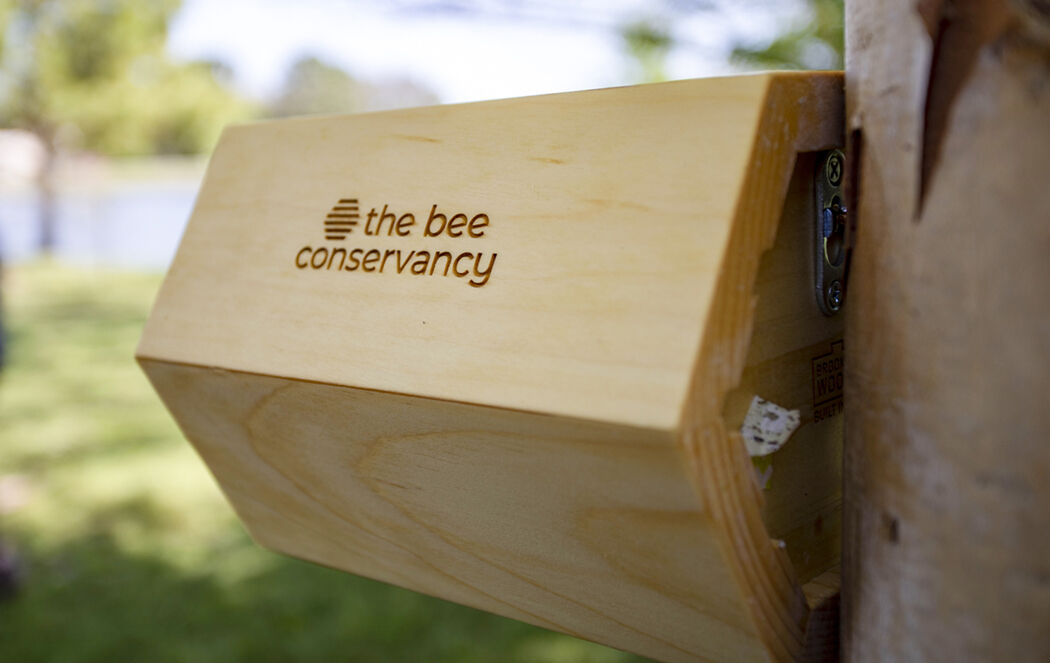 Cherokee Nation installs two new bee pollinator homes provided by The Bee Conservancy’s ‘Sponsor-A-Hive’ program